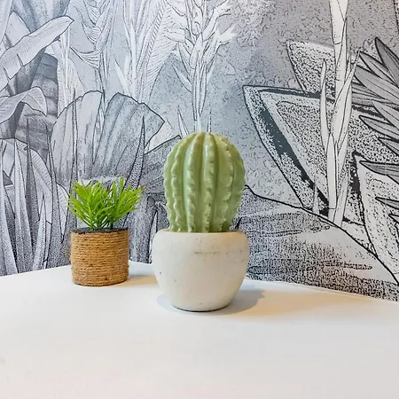 Apartament Parenthese Romantique * Prive